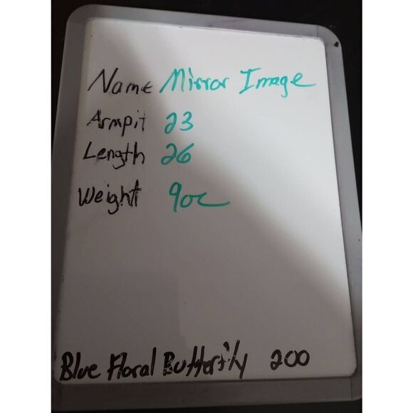 Ladies Large Boho Embroidered Off Shoulder Peasant Tunic Top Blouse - Picture 7 of 7